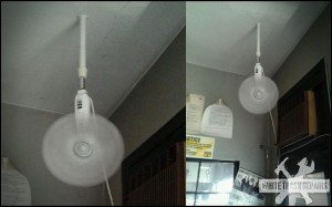 oscillating ceiling fan – White Trash Repairs