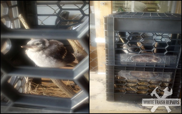 Birdcage Crate