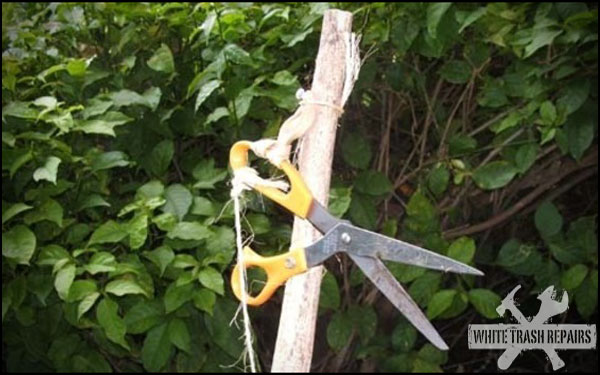 Hillbilly Hedge Clippers