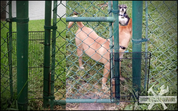 Gated Dogs