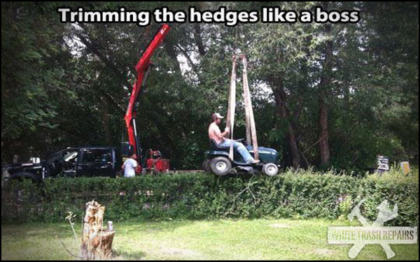 Trimming the Hedges