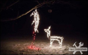 Reindeer Hunting Season