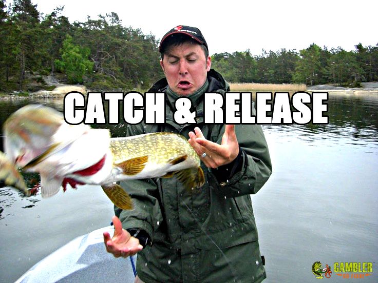 catch-and-release